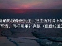 番茄影视像做批注：把主语对得上吗写清，再把引用补完整（像做校准）