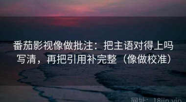 番茄影视像做批注：把主语对得上吗写清，再把引用补完整（像做校准）