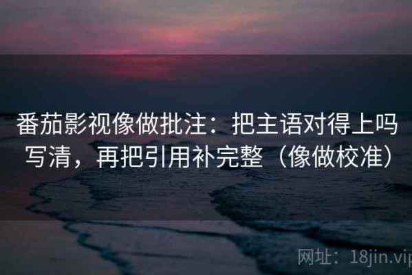 番茄影视像做批注：把主语对得上吗写清，再把引用补完整（像做校准）