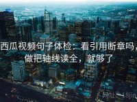 西瓜视频句子体检：看引用断章吗，做把轴线读全，就够了