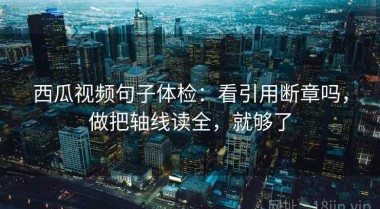 西瓜视频句子体检：看引用断章吗，做把轴线读全，就够了