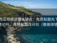 西瓜视频读懂关键点：先抓标题先下结论吗，再把标题改问句（像做排错）