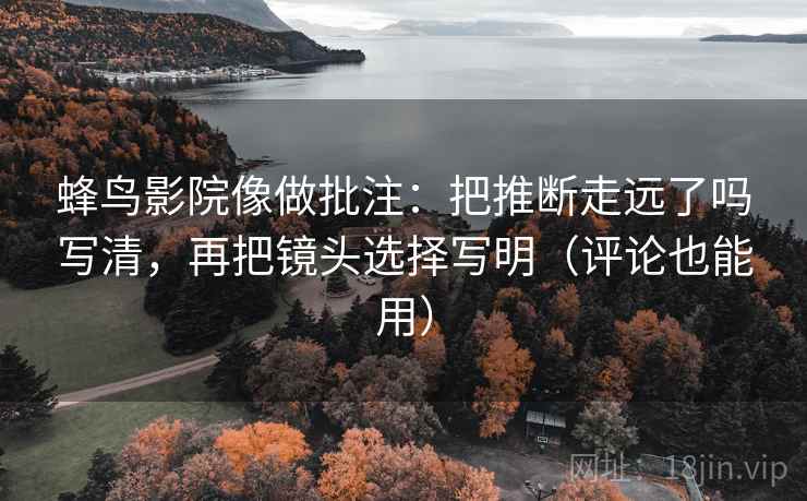 蜂鸟影院像做批注：把推断走远了吗写清，再把镜头选择写明（评论也能用）
